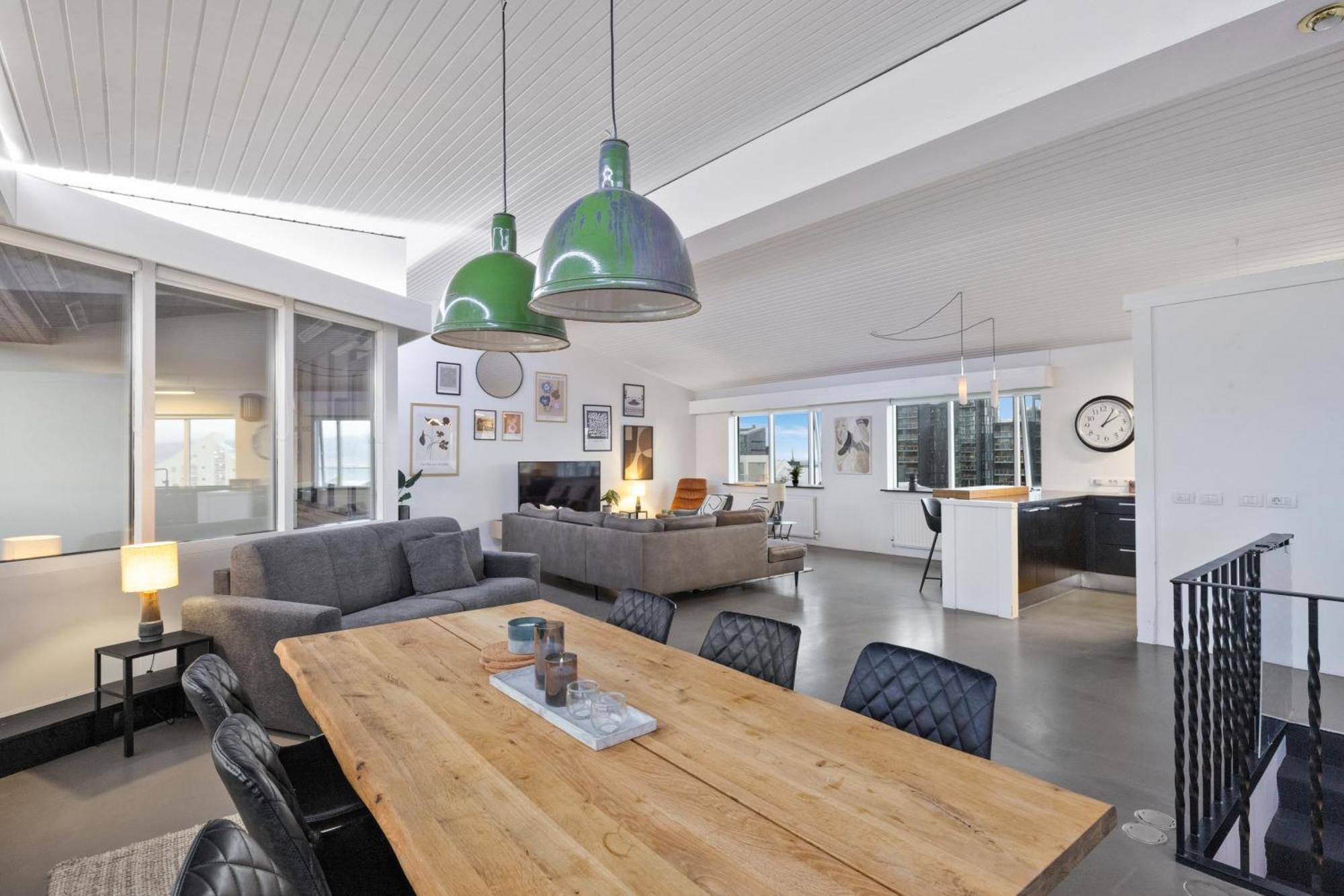 Penthouse Apt On The Shopping Street-Free Parking Рейкьявик Экстерьер фото
